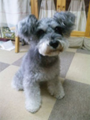 プラセンタによる皮膚創傷改善例